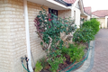 Property photo of 2/7 Anona Place Riverton WA 6148