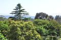 Property photo of 10 Gwainurra Grove Pambula Beach NSW 2549