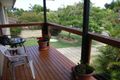 Property photo of 22 Kurrajong Court Palm Beach QLD 4221