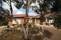 Property photo of 19 Spiers Avenue Pasadena SA 5042