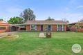 Property photo of 17 Maxwell Street West Tamworth NSW 2340