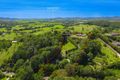 Property photo of 97 Glencoe Road North Arm NSW 2484