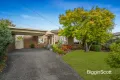 Property photo of 6 Mason Court Mount Waverley VIC 3149