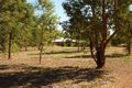 Property photo of 19 Askrigg Road Gidgegannup WA 6083