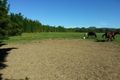 Property photo of 200 Seib Road Eumundi QLD 4562