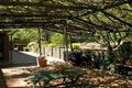 Property photo of 54 Light Road Coromandel Valley SA 5051