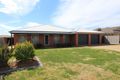 Property photo of 58 Paldi Crescent Glenfield Park NSW 2650