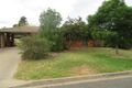 Property photo of 31 Kurrajong Street Red Cliffs VIC 3496
