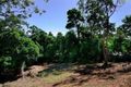 Property photo of 9 Michael Dwyer Close Stratford QLD 4870