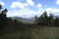 Property photo of 173 Knodingbul Forest Road Mount George NSW 2424