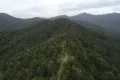 Property photo of 173 Knodingbul Forest Road Mount George NSW 2424