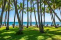 Property photo of 19 Trivia Street Palm Cove QLD 4879