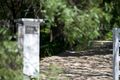 Property photo of 9 Wattle Grove Portsea VIC 3944