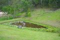 Property photo of 179 Candy Creek Road Guanaba QLD 4210