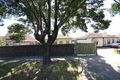 Property photo of 2/431 Anzac Highway Camden Park SA 5038