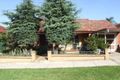 Property photo of 90 Bridge Road Belmore NSW 2192