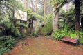 Property photo of 38 Range Road Olinda VIC 3788