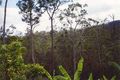 Property photo of 139 Staghorn Drive Austinville QLD 4213