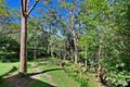 Property photo of 12 Wanawong Drive Thornleigh NSW 2120