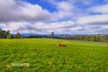 Property photo of 18 Powers Road Kinglake Central VIC 3757