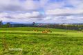 Property photo of 18 Powers Road Kinglake Central VIC 3757