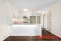 Property photo of 95/120 Saunders Street Pyrmont NSW 2009