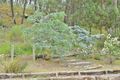 Property photo of 2-6 Margaret Street Coonabarabran NSW 2357