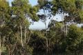 Property photo of 34 Range Road West Willunga South SA 5172