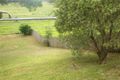 Property photo of 50 Wondalga Crescent Nowra NSW 2541