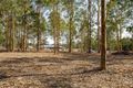 Property photo of 2 Rusty Lane Branxton NSW 2335