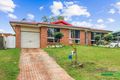 Property photo of 46 Jersey Parade Minto NSW 2566