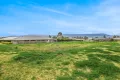 Property photo of 38 Ibis Place Scone NSW 2337
