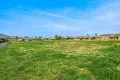 Property photo of 38 Ibis Place Scone NSW 2337