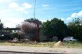 Property photo of 79 Hutt Street Northam WA 6401