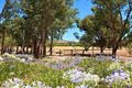 Property photo of 267 Hahn Road Sellicks Hill SA 5174