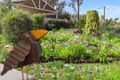 Property photo of 59A Sandalwood Drive Greenwood WA 6024