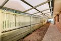 Property photo of 40 Equestrian Drive Yamanto QLD 4305