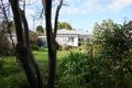 Property photo of 195 Nicholson Street Orbost VIC 3888