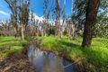 Property photo of LOT 51 Balingup-Nannup Road Nannup WA 6275