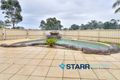 Property photo of 13 Burkhart Place Minto NSW 2566