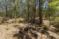 Property photo of 9853 Vasse Highway Peerabeelup WA 6260