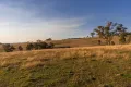 Property photo of 2 Yellow Box Place Springvale NSW 2650