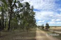 Property photo of 1363 Howell Road Howell NSW 2360