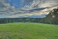 Property photo of 80 Jardine Road Macclesfield VIC 3782