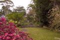 Property photo of 81 Ryde Road Pymble NSW 2073