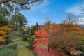 Property photo of 6 Grandview Grove Sassafras VIC 3787