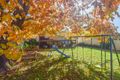 Property photo of 38 Yass Street Young NSW 2594