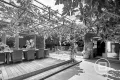 Property photo of 1 Park Street Brighton VIC 3186