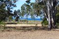Property photo of 59 Ti Tree Road East Booral QLD 4655