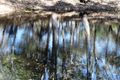 Property photo of 59 Ti Tree Road East Booral QLD 4655
